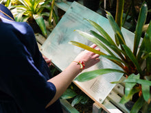 Charger l'image dans la galerie, Les Indes