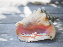 Charger l'image dans la galerie, Polynésie