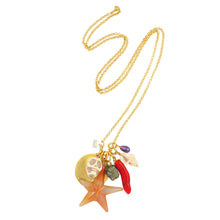 Charger l'image dans la galerie, Pirate